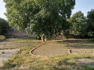 Srdíčka z lučního kvítí pro hospic. Na Svatém Kopečku se rozrůstá odkaz dobročinné přeměny areálu