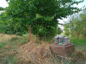Ve Vrahovicích vandal zničil sochu Vodníka. Arboretum ji opraví, ale vystavovat už nebude