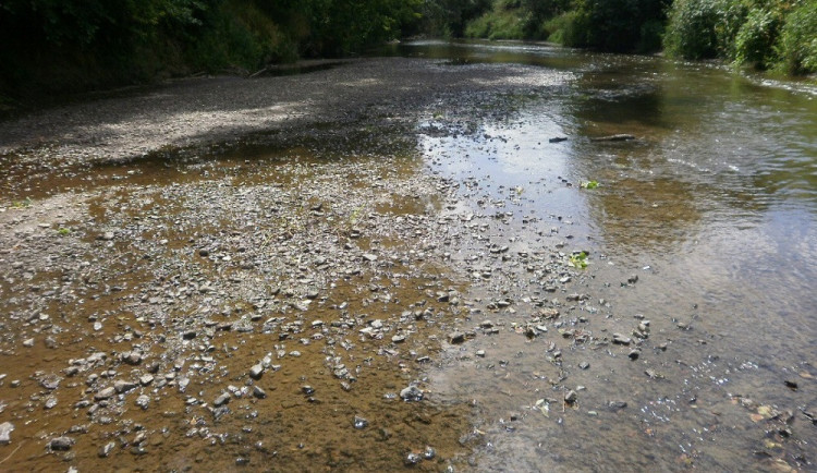 Je sucho. Úřady zakázaly odběr vody z Trusovického a Dolanského potoka, z řeky Bystřice a chystají ho i v Tršicích