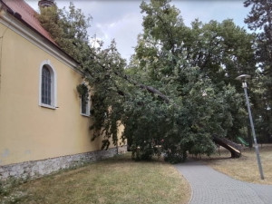Požáry polí a pak řádění bouřky. Vichr vyvrátil na Prostějovsku stromy na dva kostely