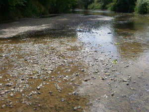 Je sucho. Úřady zakázaly odběr vody z Trusovického a Dolanského potoka, z řeky Bystřice a chystají ho i v Tršicích