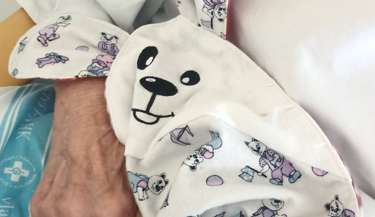 Pacienty v hradecké nemocnici zklidňují Muchláčci, vyrábí je na psychiatrii