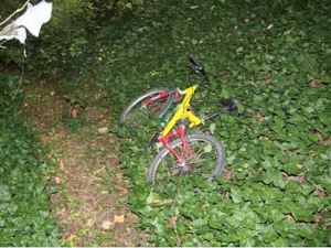 Po vyrušení u garáží se vloupal do zahradní budky. Recidivistu chytili policisté v Mohelnici přímo při činu