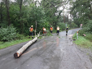 Voda ve sklepích a vyvrácené stromy. Lijáky zaměstnávají hasiče v Olomouckém kraji