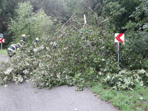 Voda ve sklepích a vyvrácené stromy. Lijáky zaměstnávají hasiče v Olomouckém kraji