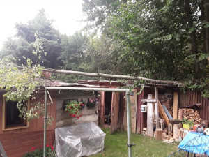 Voda ve sklepích a vyvrácené stromy. Lijáky zaměstnávají hasiče v Olomouckém kraji