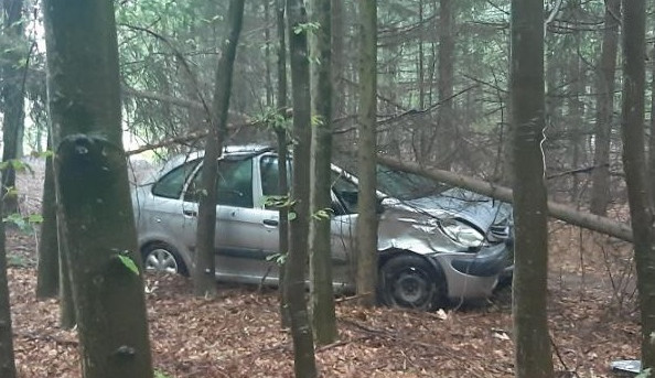 Muž se zákazem řídil auto bez registrační značky. Pod vlivem alkoholu ujížděl hlídce, zastavil ho až strom