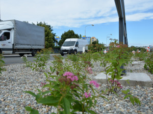 Růžová Velkomoravská. Olomouc investuje miliony do zkrášlení rušného průtahu