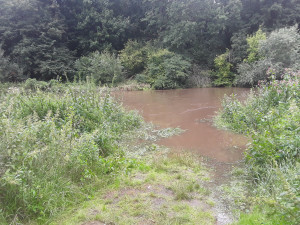 U Střeně hasiči z rozvodněné Moravy zachraňovali pět vodáků. Dítě, muž a tři ženy zůstali uprostřed řeky