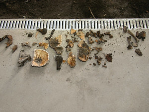 Pod podlahou domu v Přerově našel majitel ostatky dvou dospělých a jednoho dítěte. Staré jsou přes sto let