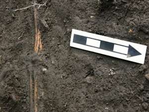 Pod podlahou domu v Přerově našel majitel ostatky dvou dospělých a jednoho dítěte. Staré jsou přes sto let