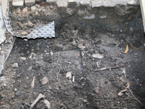 Pod podlahou domu v Přerově našel majitel ostatky dvou dospělých a jednoho dítěte. Staré jsou přes sto let
