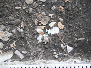 Pod podlahou domu v Přerově našel majitel ostatky dvou dospělých a jednoho dítěte. Staré jsou přes sto let