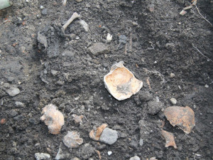 Pod podlahou domu v Přerově našel majitel ostatky dvou dospělých a jednoho dítěte. Staré jsou přes sto let