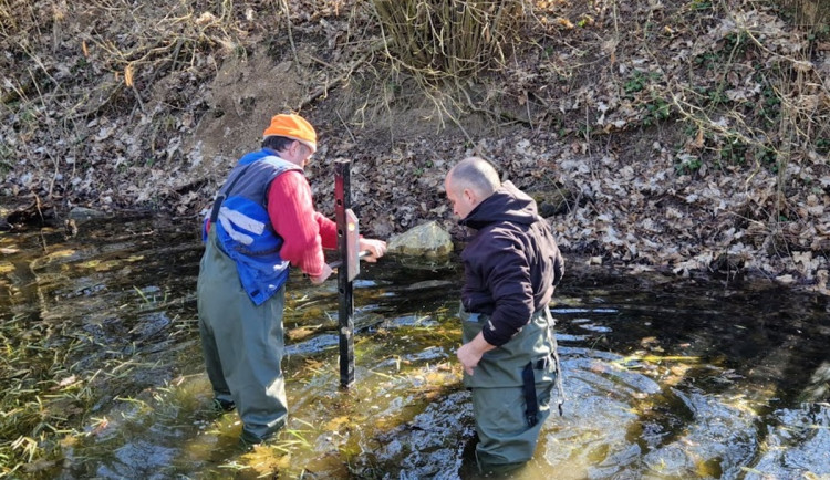 Vědci UP situaci s komáry v Litovelském Pomoraví sledují již delší dobu.