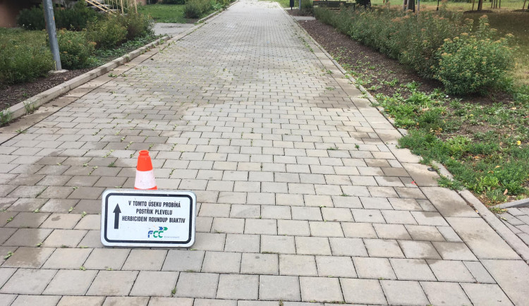 365430033_2479606852194865_1769397194898138697_n