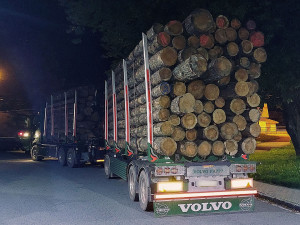 Kamion byl přetížený dřevem, hrozil pád jednoho z kmenů na dálnici. Řidič dostal pokutu 100 tisíc korun