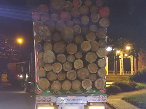 Kamion byl přetížený dřevem, hrozil pád jednoho z kmenů na dálnici. Řidič dostal pokutu 100 tisíc korun