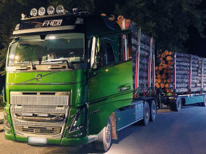 Kamion byl přetížený dřevem, hrozil pád jednoho z kmenů na dálnici. Řidič dostal pokutu 100 tisíc korun