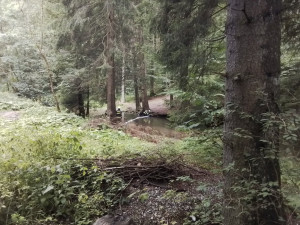 U Branné se nákladní vůz se dřevem převrátil do potoka. Do vody vyteklo palivo z prasklé nádrže