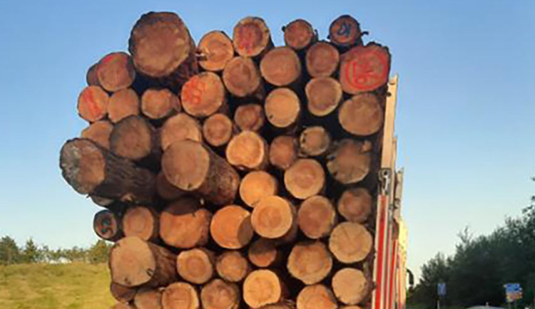 Kamion byl přetížený dřevem, hrozil pád jednoho z kmenů na dálnici. Řidič dostal pokutu 100 tisíc korun