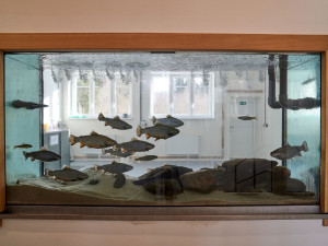 Jesenické vodárny snížily ztráty pod deset procent. Je to jeden z kroků v boji proti suchu