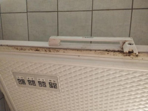 Plíseň, hmyz a myší trus. Inspekce zavřela restauraci u Nákla