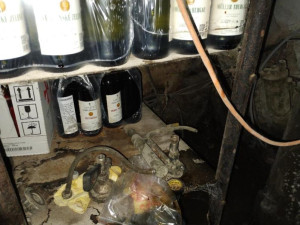 Plíseň, hmyz a myší trus. Inspekce zavřela restauraci u Nákla