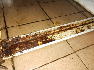 Plíseň, hmyz a myší trus. Inspekce zavřela restauraci u Nákla