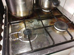 Plíseň, hmyz a myší trus. Inspekce zavřela restauraci u Nákla