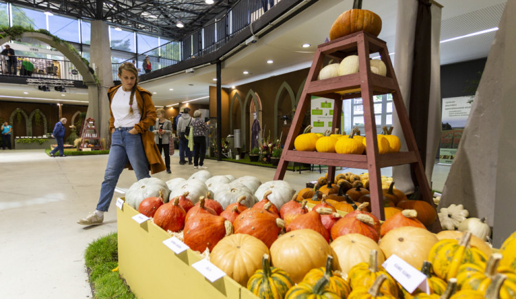 Flora Olomouc přiblížila program podzimní výstavy. Ohlédne se za československými kořeny