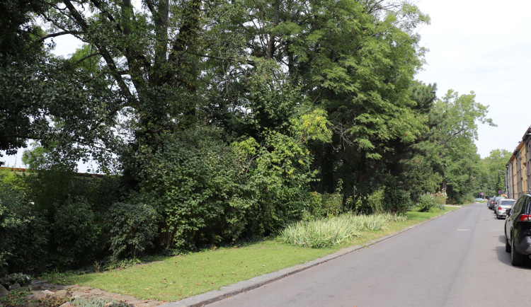 Na Strhanci v Přerově půjdou k zemi desítky stromů, nahradí je zelená oáza s vodní pumpou a malými rybníčky