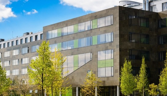 csm_rektoratvnovem_1e490b7c07