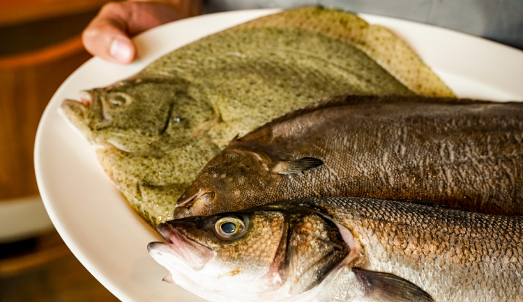 Lobster Family restaurant nabízí denně humry a čerstvé ryby