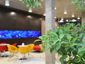 Rakovina prsu si nevybírá. Znáte všechny dostupné možnosti její léčby?