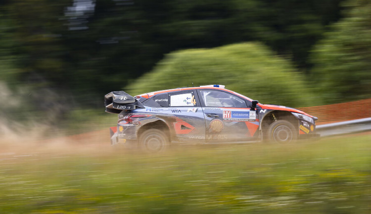 size3-16951306380125-139-ms-v-rally