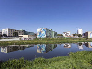 FOTOGALERIE: Festival pouličního umění rozzářil v Olomouci sídlištní kotelny i zašlé basketbalové hřiště
