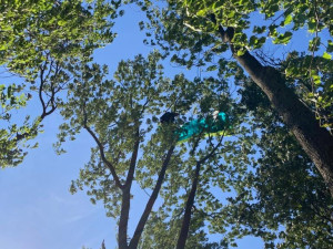 Hasiči dnes na Přerovsku zachraňovali dva paraglidisty z korun stromů. Vše se obešlo bez zranění