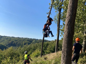 Hasiči dnes na Přerovsku zachraňovali dva paraglidisty z korun stromů. Vše se obešlo bez zranění
