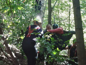 Hasiči dnes na Přerovsku zachraňovali dva paraglidisty z korun stromů. Vše se obešlo bez zranění