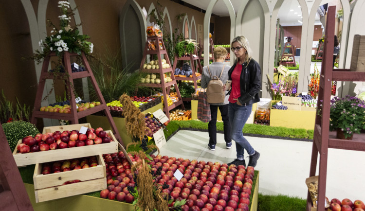 Hlavní expozice ve tvaru Československa. Podzimní Flora Olomouc připomene společné kořeny republik