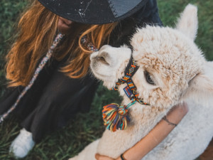 Mechy na své obrazy objednává až od polárního kruhu. Jeden od Kristýny Bízek dostal i prezident
