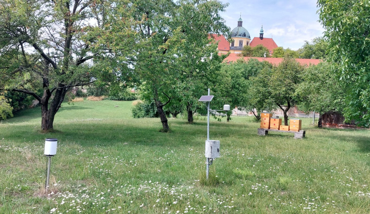 Město Olomouc letos mělo nejteplejší léto v historii měření. Maximum bylo přes 36 stupňů Celsia