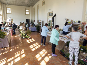 FOTOGALERIE: Československo středobodem Flory. V Olomouci začala tradiční zahradnická výstava