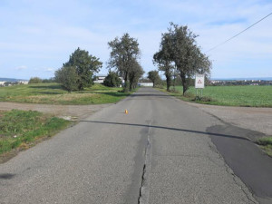 Zdrogovaný šofér prchl od nehody. V kukuřičném poli u Prostějova ho vyčenichal policejní pes Deryk