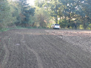 Zdrogovaný šofér prchl od nehody. V kukuřičném poli u Prostějova ho vyčenichal policejní pes Deryk