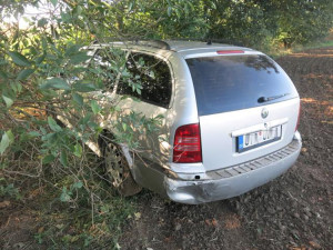 Zdrogovaný šofér prchl od nehody. V kukuřičném poli u Prostějova ho vyčenichal policejní pes Deryk