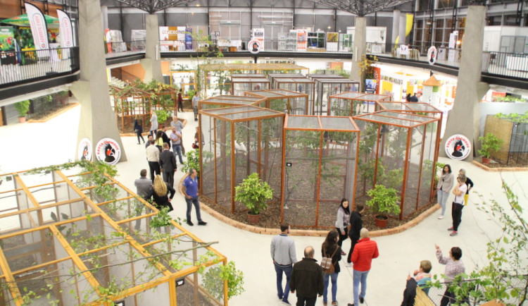 Raritní amazoňan, veliký ara či tukani. Výstaviště v Olomouci bude patřit exotům