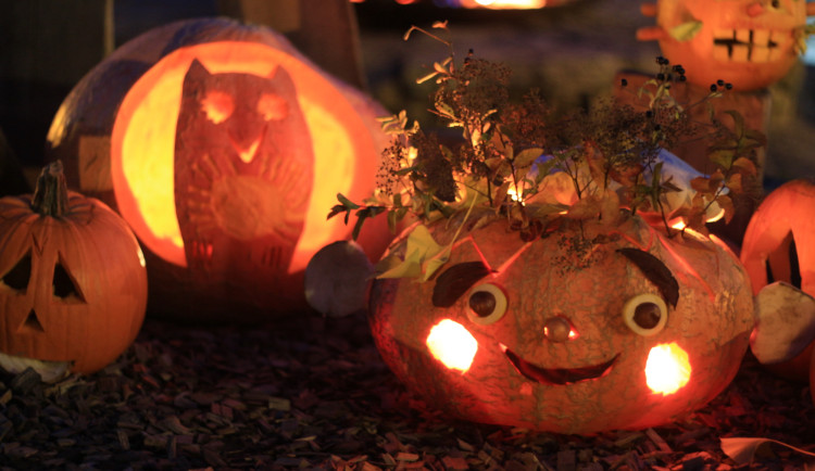 Dýně a duchové zaplaví od soboty královédvorskou ZOO, začne Týden duchů