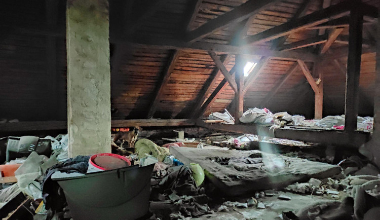 Svého psa držel chovatel ze Šternberska v neuklizených půdních prostorách starého bytového domu